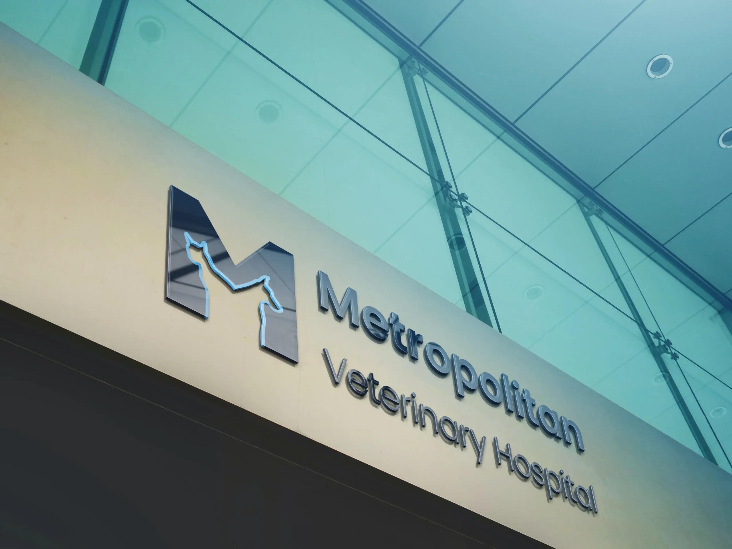 Company Branding Logo branding veterinar