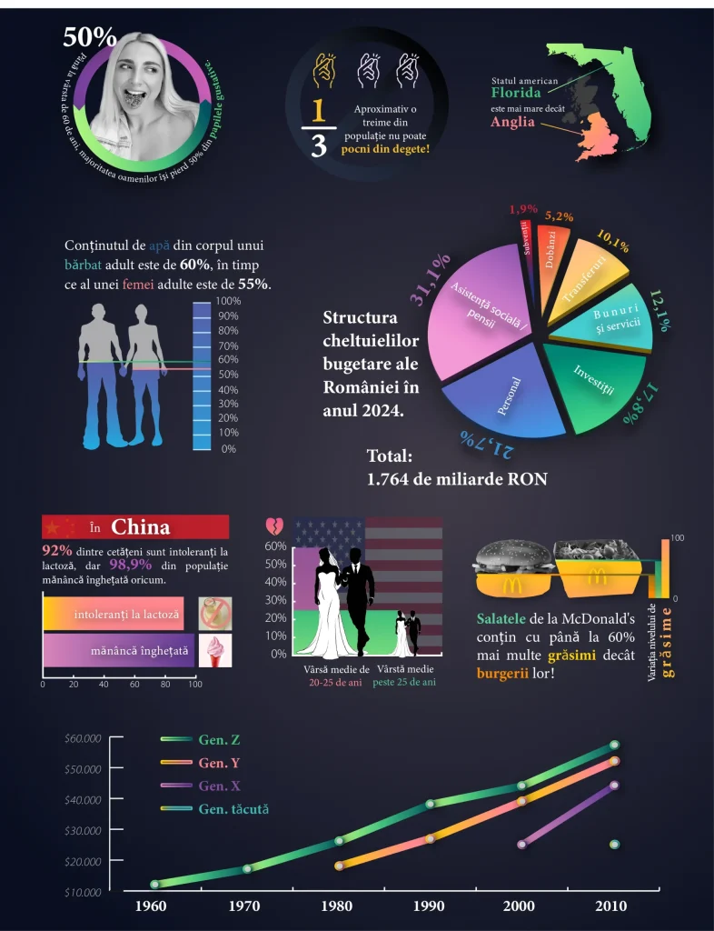 Sinteză vizuală (infografic conceptual)